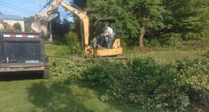 Tree Removal (1)