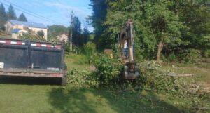 Tree Removal (1).1